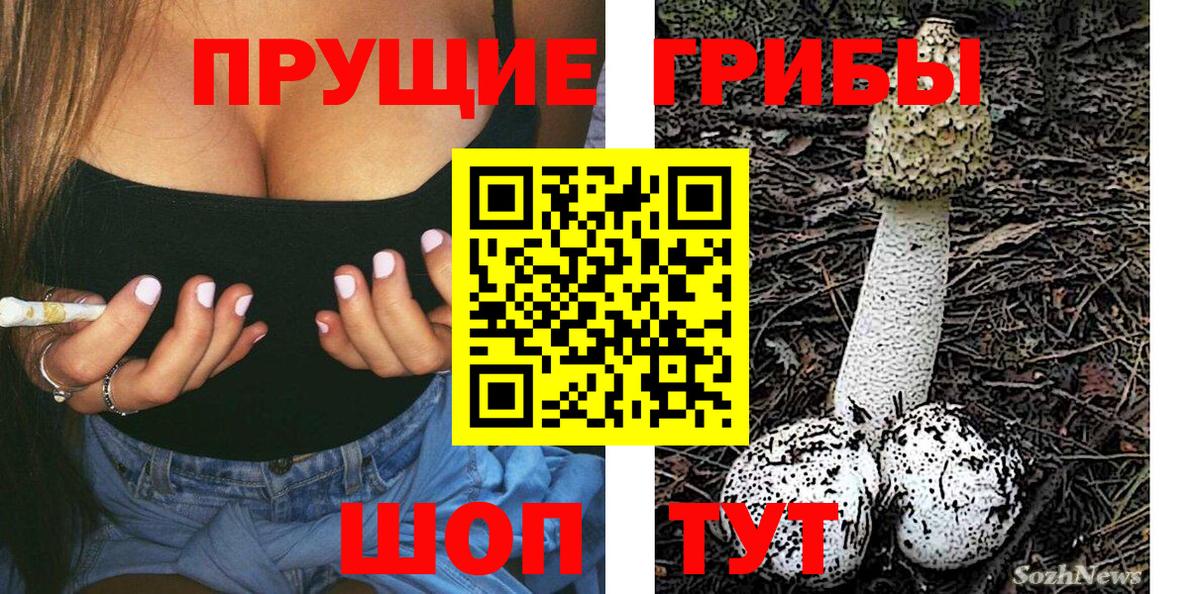 Псилоцибиновые грибы мухоморы Первоуральск